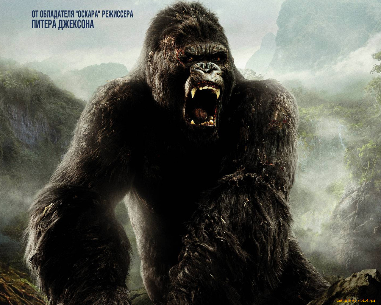, , king, kong